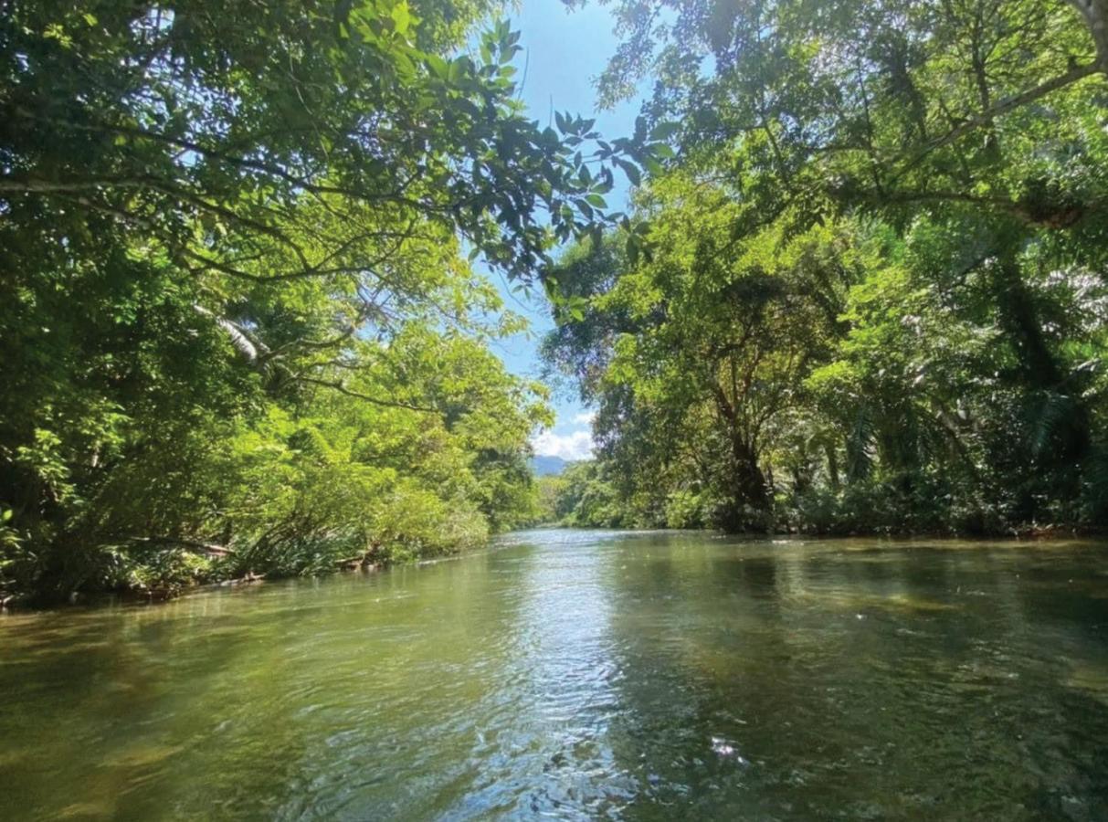 The Liveliwoods บ้านป่าร่าเริง Khao Sok National Park ภายนอก รูปภาพ