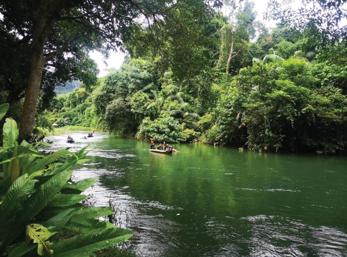 The Liveliwoods บ้านป่าร่าเริง Khao Sok National Park ภายนอก รูปภาพ