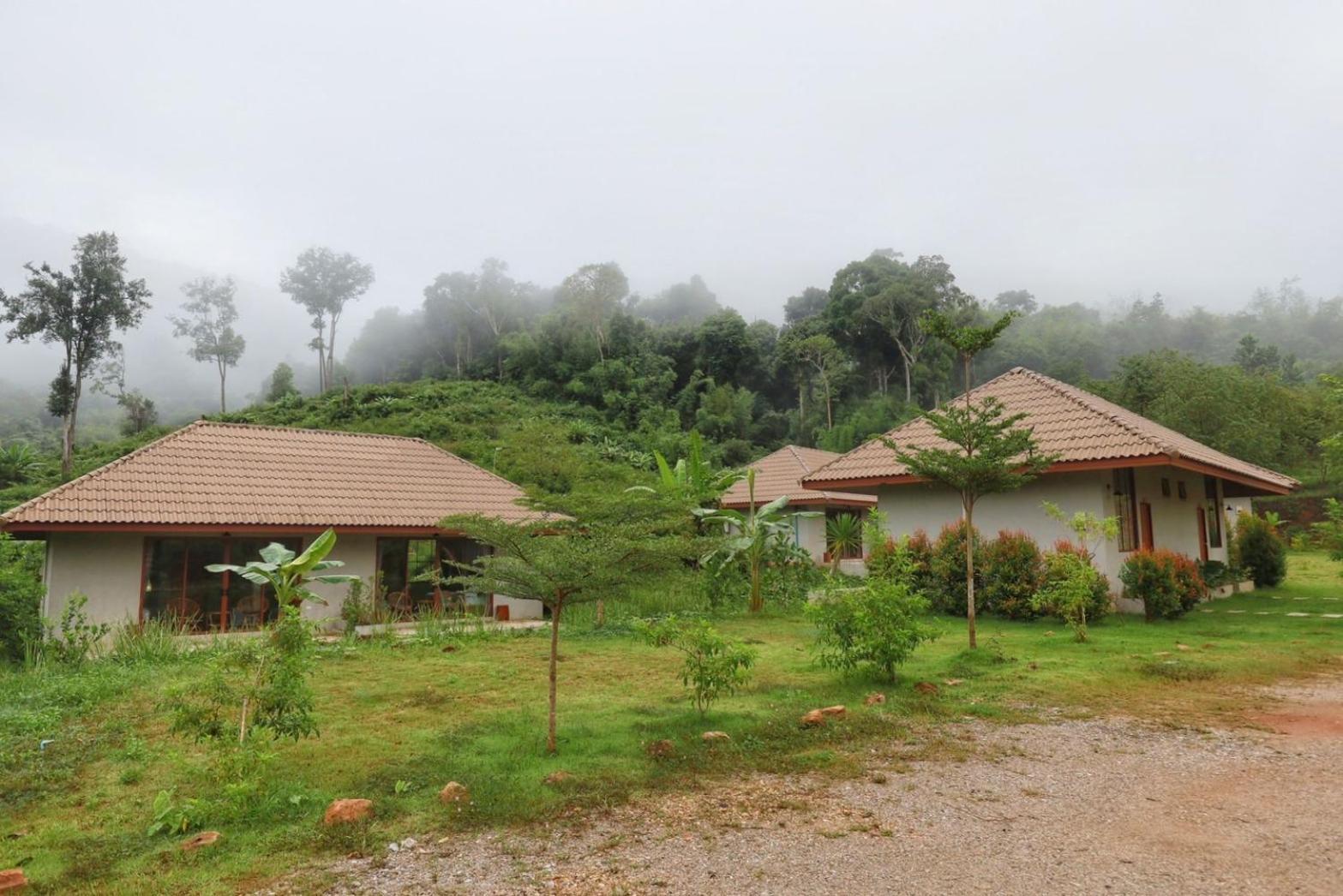 The Liveliwoods บ้านป่าร่าเริง Khao Sok National Park ภายนอก รูปภาพ