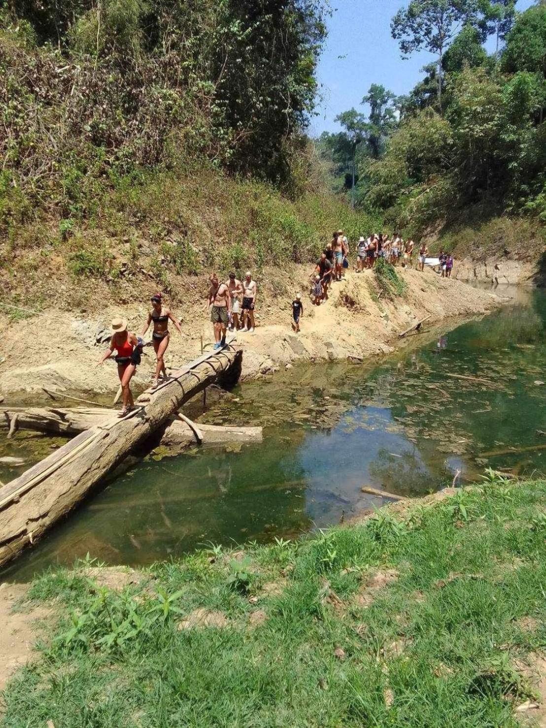 The Liveliwoods บ้านป่าร่าเริง Khao Sok National Park ภายนอก รูปภาพ