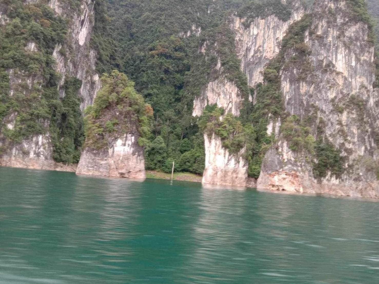 The Liveliwoods บ้านป่าร่าเริง Khao Sok National Park ภายนอก รูปภาพ