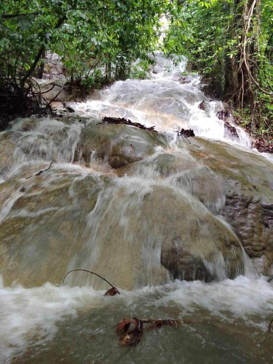 The Liveliwoods บ้านป่าร่าเริง Khao Sok National Park ภายนอก รูปภาพ