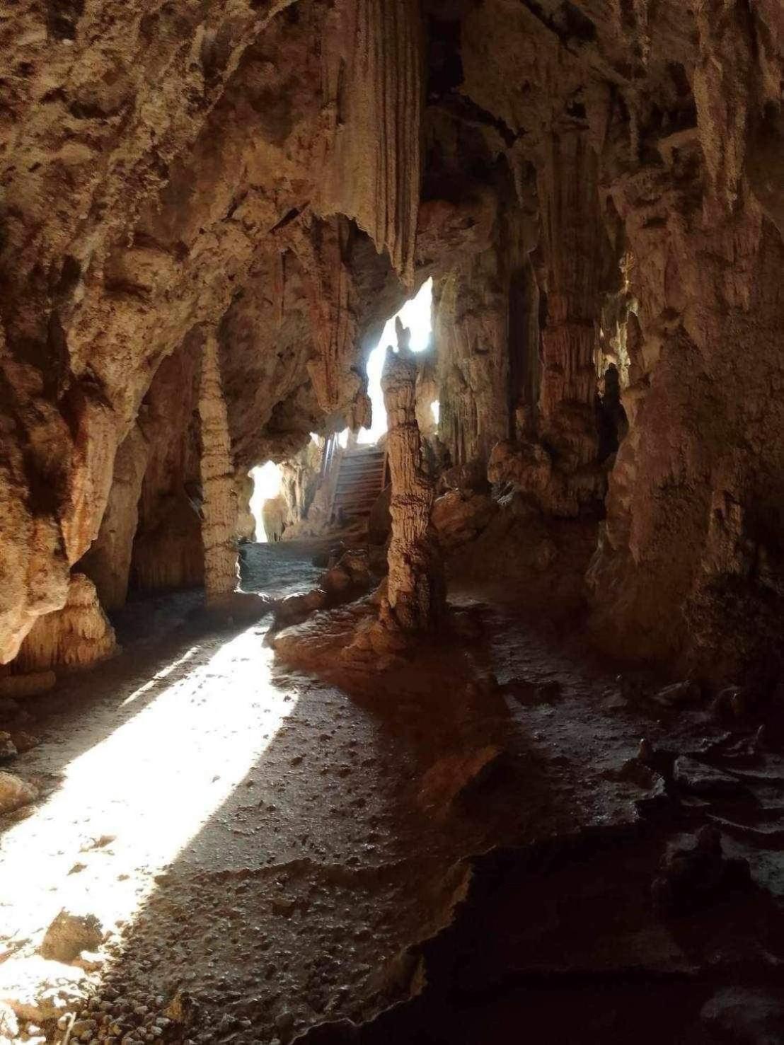 The Liveliwoods บ้านป่าร่าเริง Khao Sok National Park ภายนอก รูปภาพ