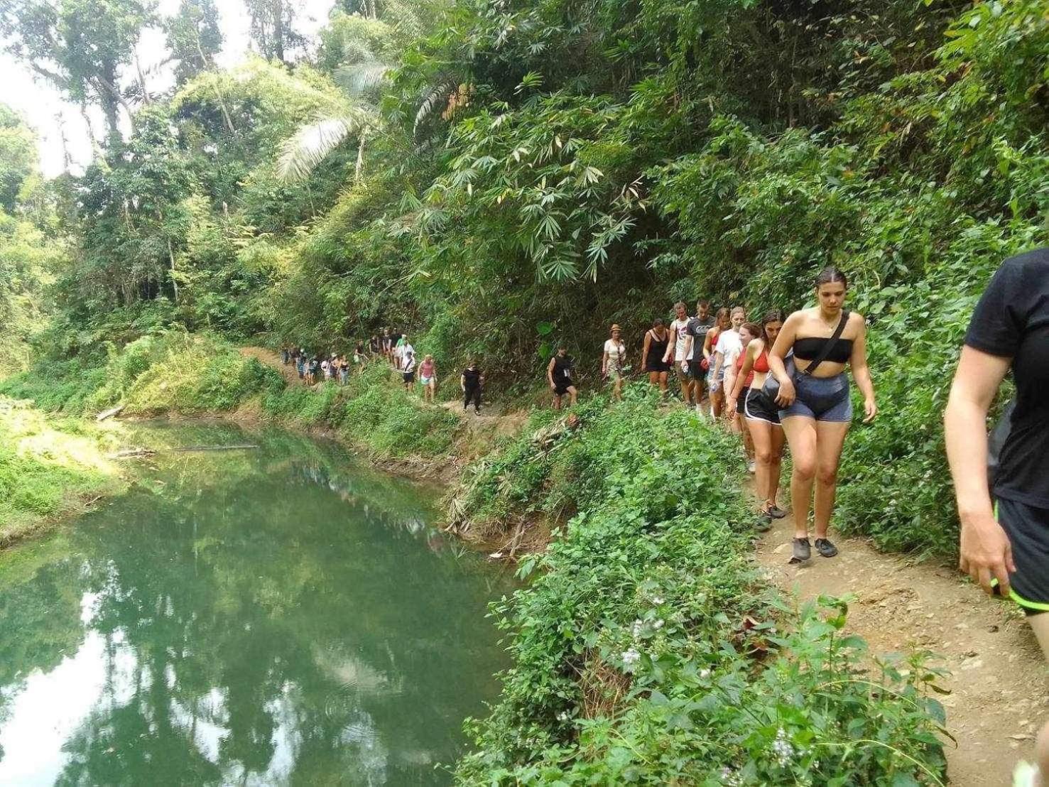 The Liveliwoods บ้านป่าร่าเริง Khao Sok National Park ภายนอก รูปภาพ