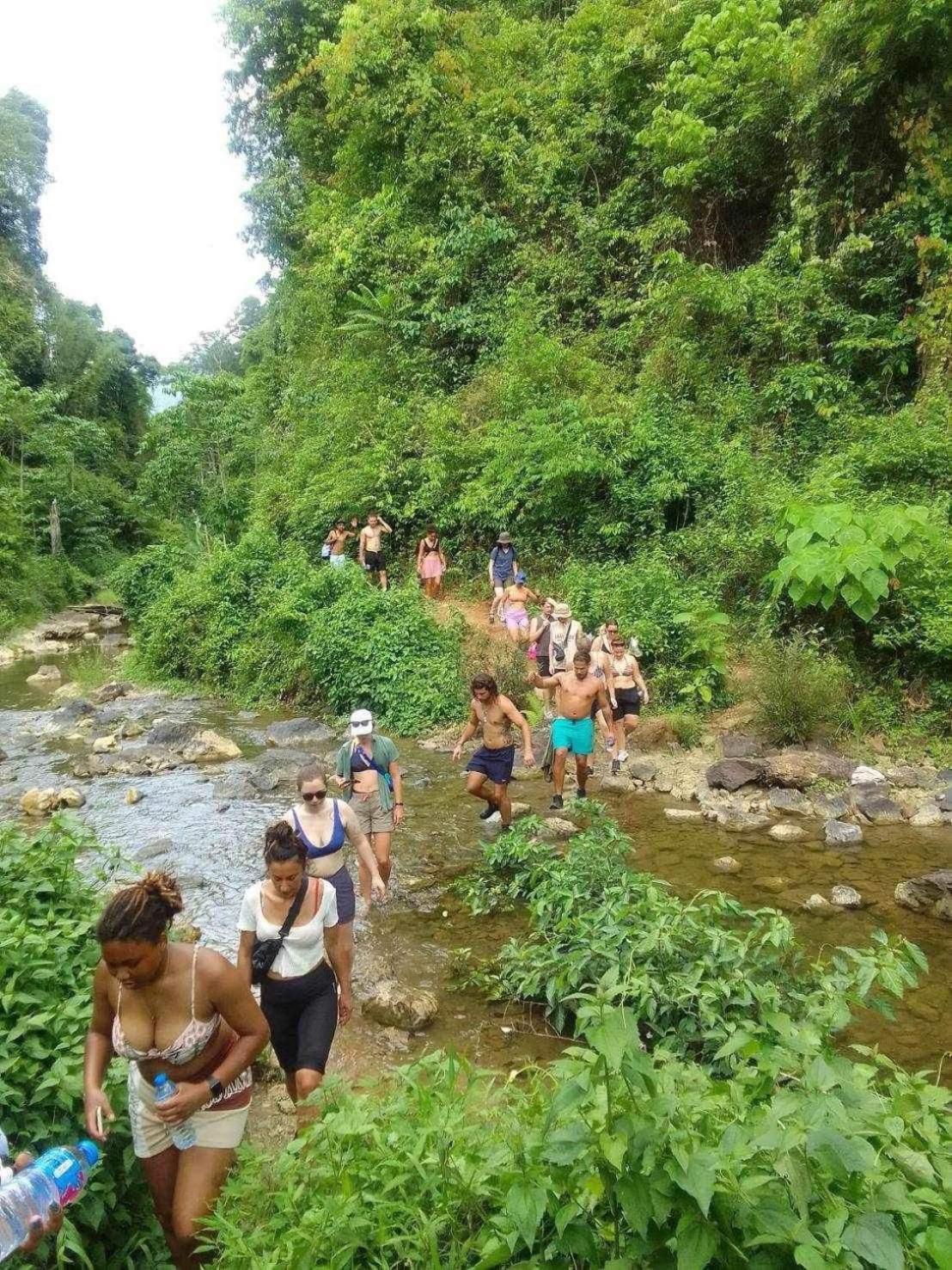 The Liveliwoods บ้านป่าร่าเริง Khao Sok National Park ภายนอก รูปภาพ