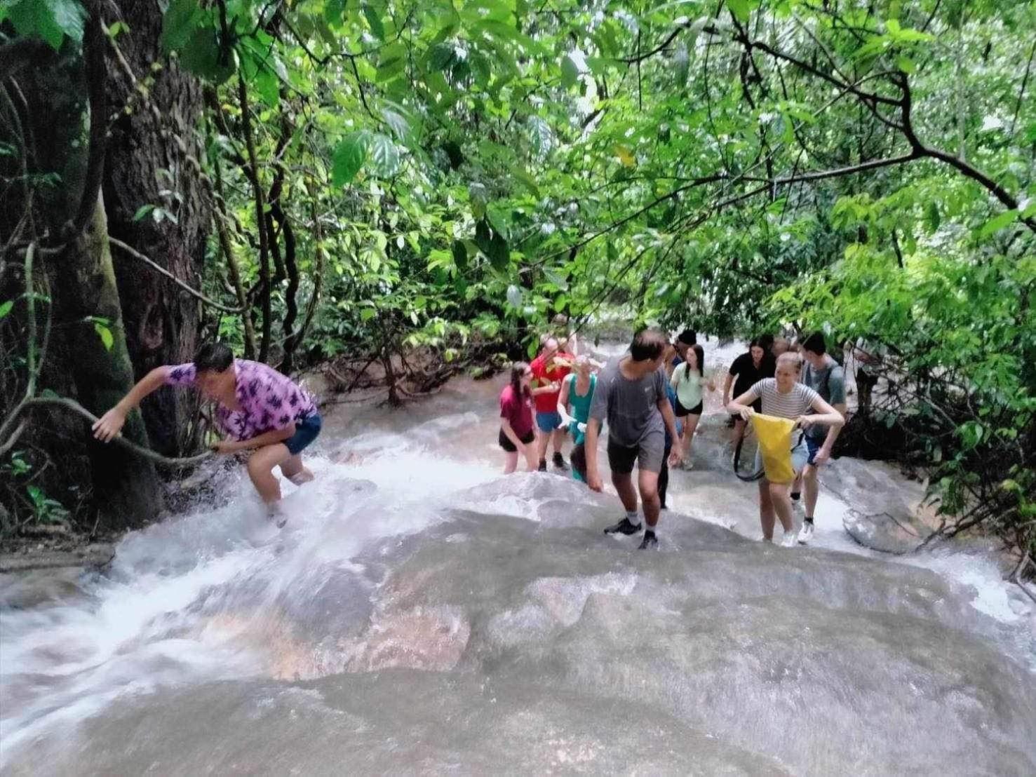 The Liveliwoods บ้านป่าร่าเริง Khao Sok National Park ภายนอก รูปภาพ