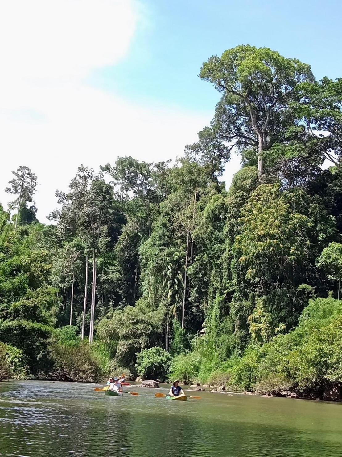 The Liveliwoods บ้านป่าร่าเริง Khao Sok National Park ภายนอก รูปภาพ