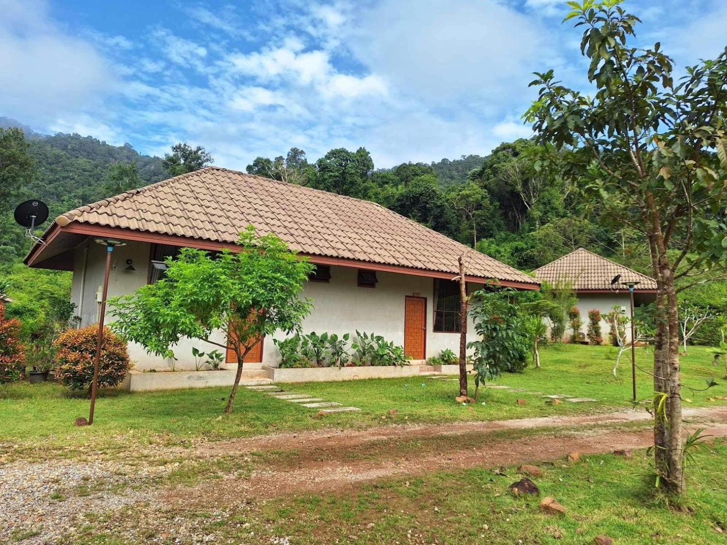 The Liveliwoods บ้านป่าร่าเริง Khao Sok National Park ภายนอก รูปภาพ